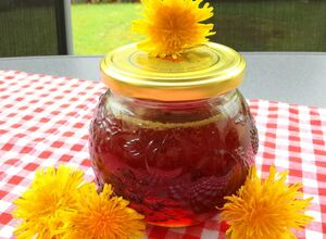 Recept Pampeliškový med s přídavkem třtinového cukru