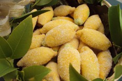 Příprava receptu Mandlové citrony, krok 10