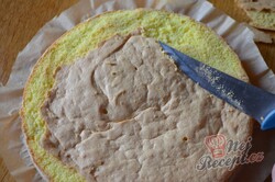 Příprava receptu Jednoduchý tvarohový dort s meruňkami , krok 4