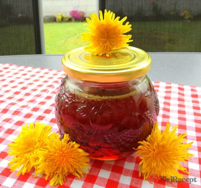 Recept Pampeliškový med s přídavkem třtinového cukru