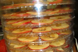 Příprava receptu Sušené jablečné chipsy, krok 3