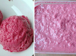 Recept Zdravý mražený jahodový jogurt/zmrzlina, připraveno za 5 minut ze 4 surovin