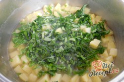 Příprava receptu Krémová polévka z medvědího česneku, krok 5
